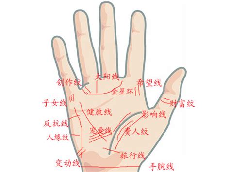 無名指下三角紋|手掌紋路圖解大全